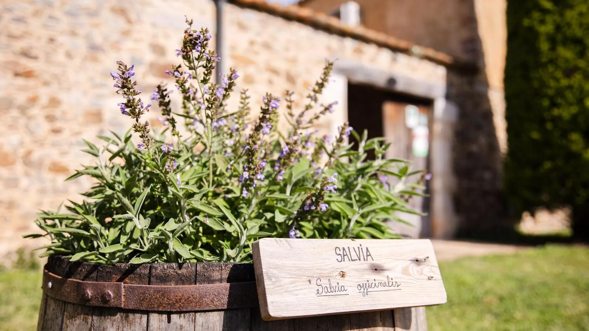 Agroturisme Sant Dionis Campllong Country house